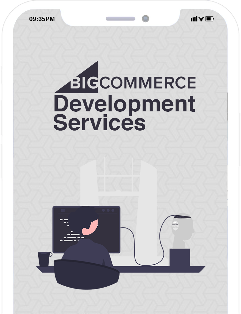 Professional WordPress Development Services in the U.S.