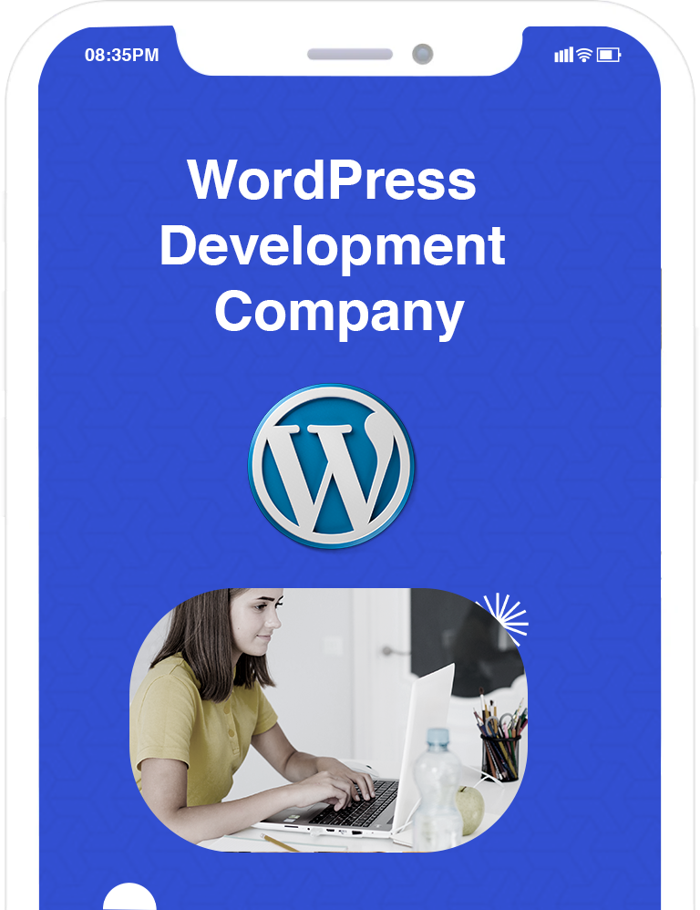 Professional WordPress Development Services in the U.S.