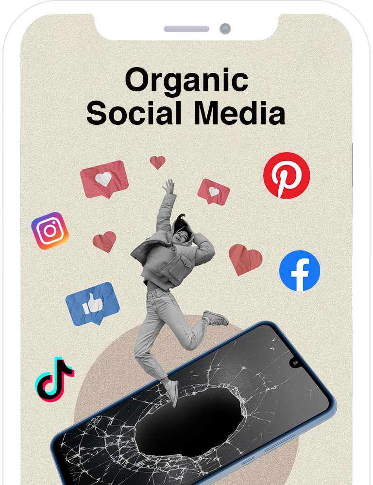 Organic Social Media Agency in USA