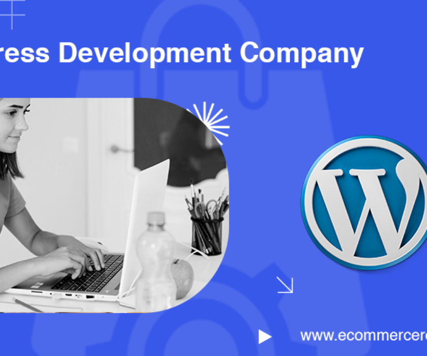 Professional WordPress Development Services in the USA