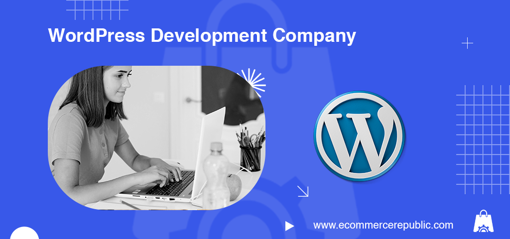 Professional WordPress Development Services in the USA