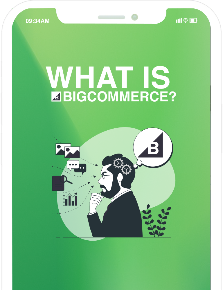 bigcommerce development services