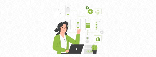Shopify API Development