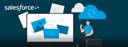 Salesforce Shopify Integration