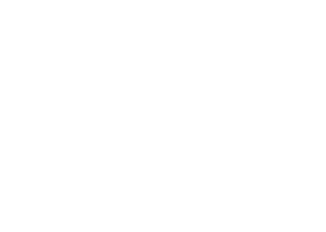zendesk logo white